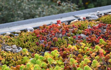 the cost of Preston Crowmarsh green roof installation