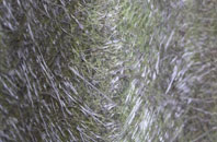 Preston Crowmarsh fibreglass roof work